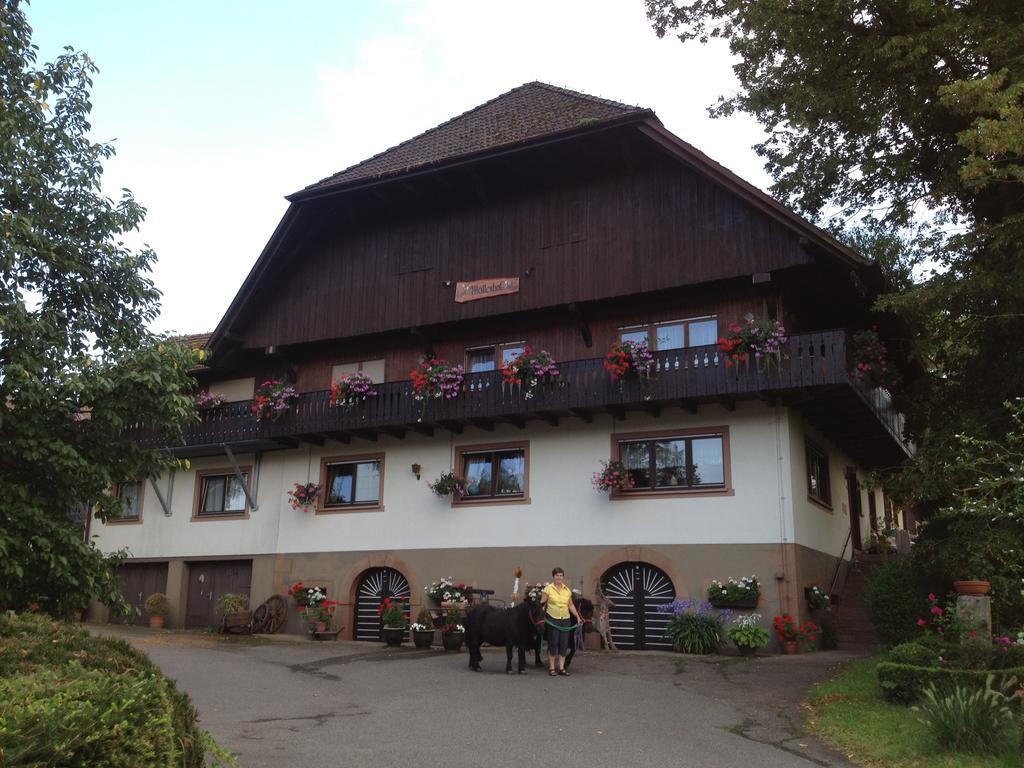 Mattenhof Zell am Harmersbach Buitenkant foto