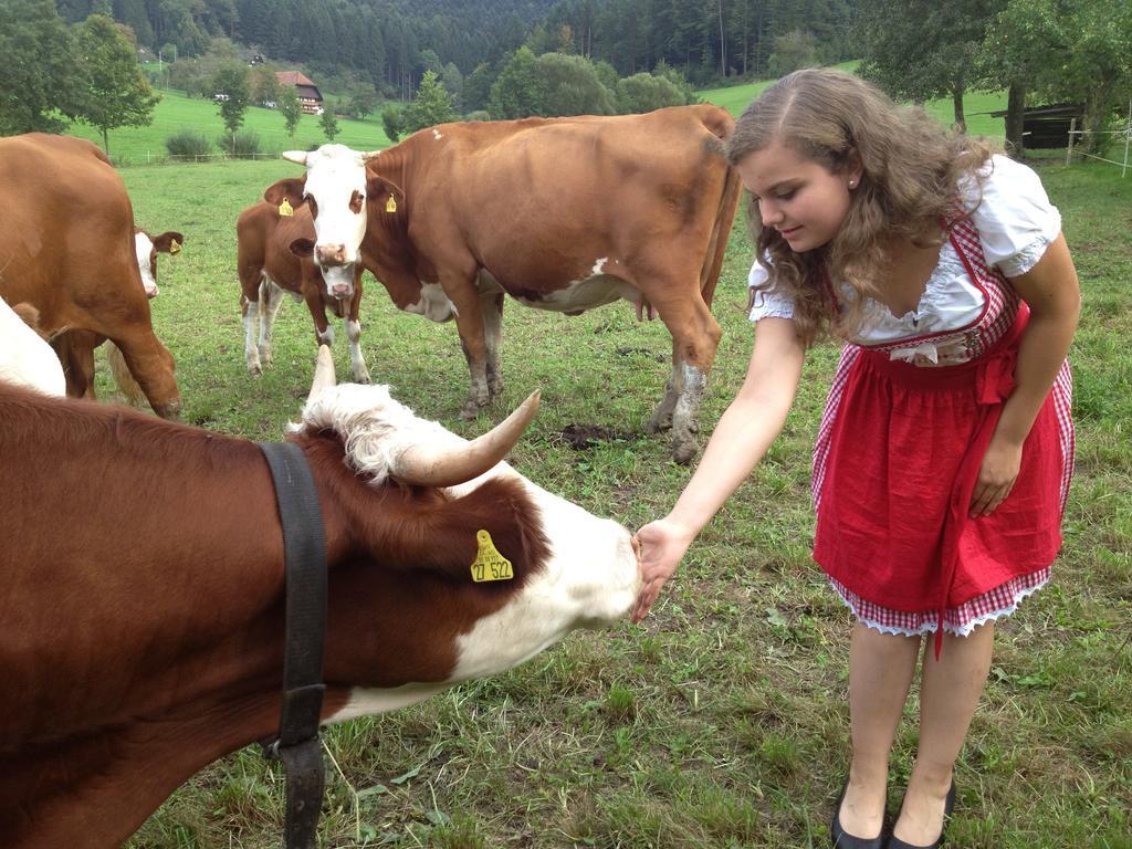 Mattenhof Zell am Harmersbach Buitenkant foto