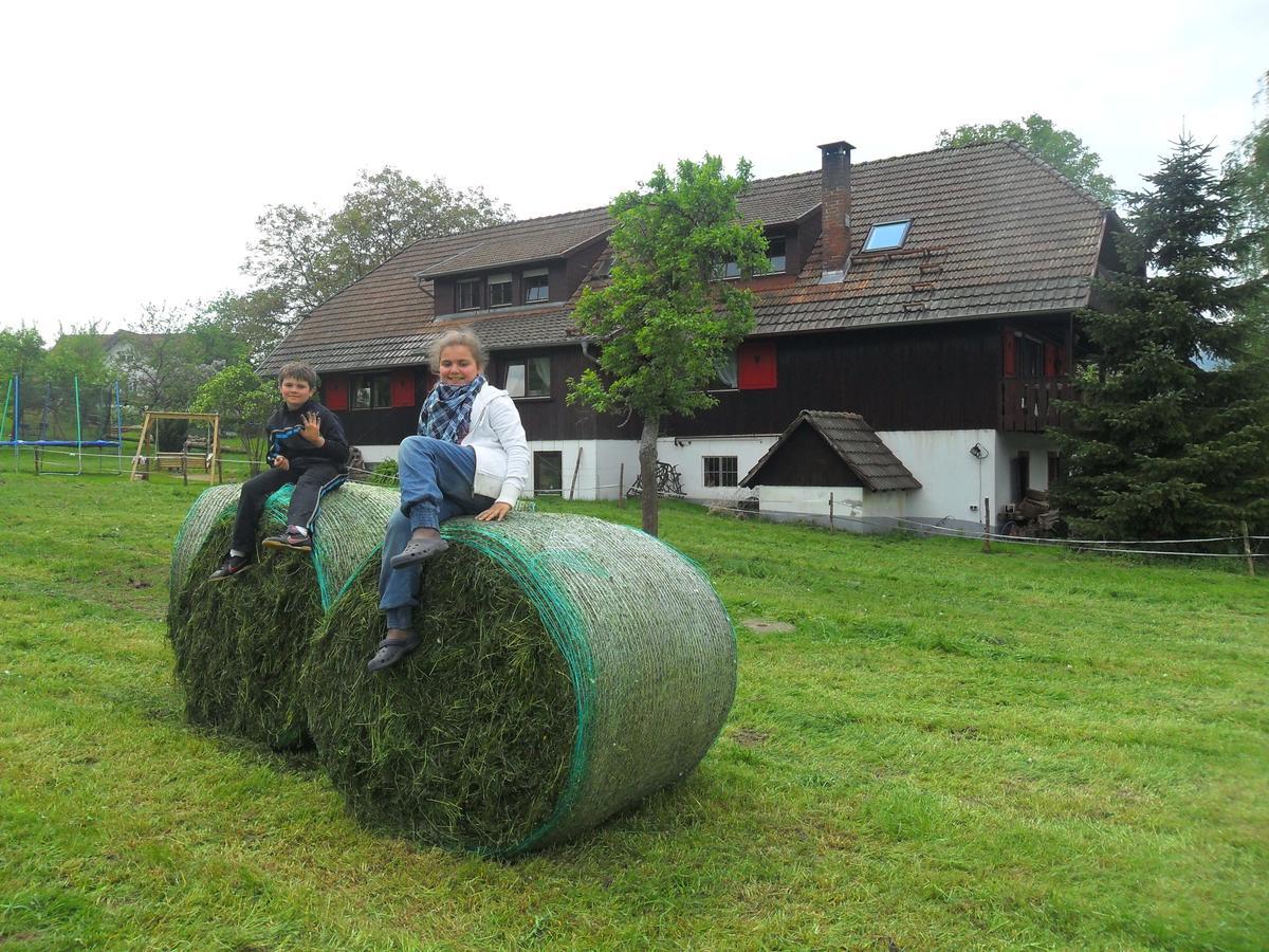 Mattenhof Zell am Harmersbach Buitenkant foto