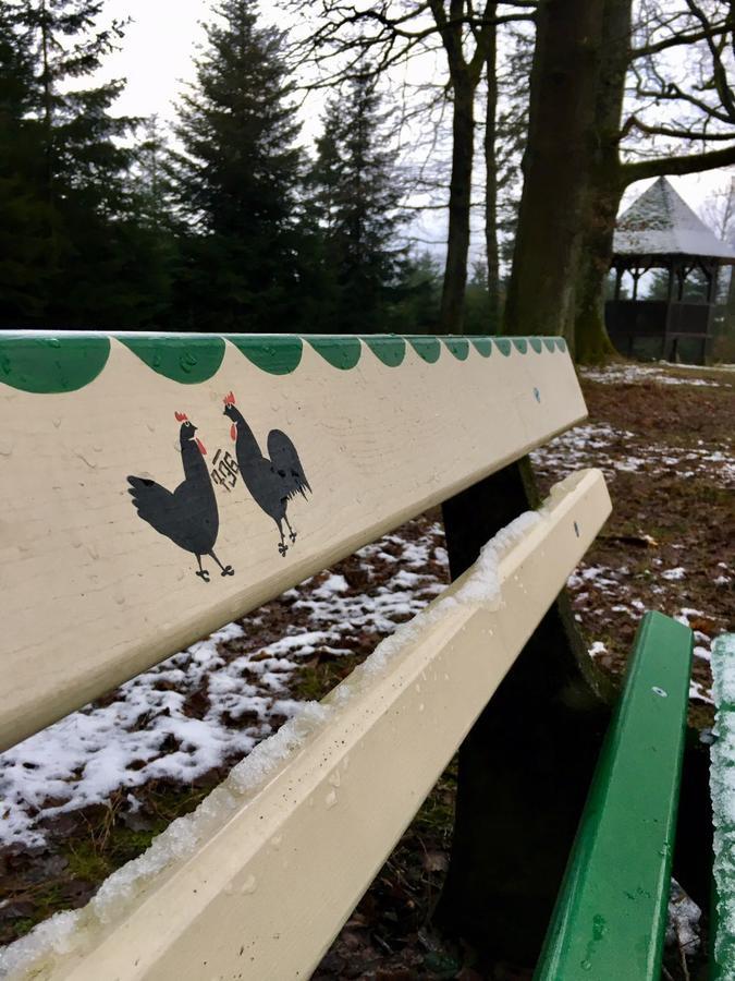 Mattenhof Zell am Harmersbach Buitenkant foto