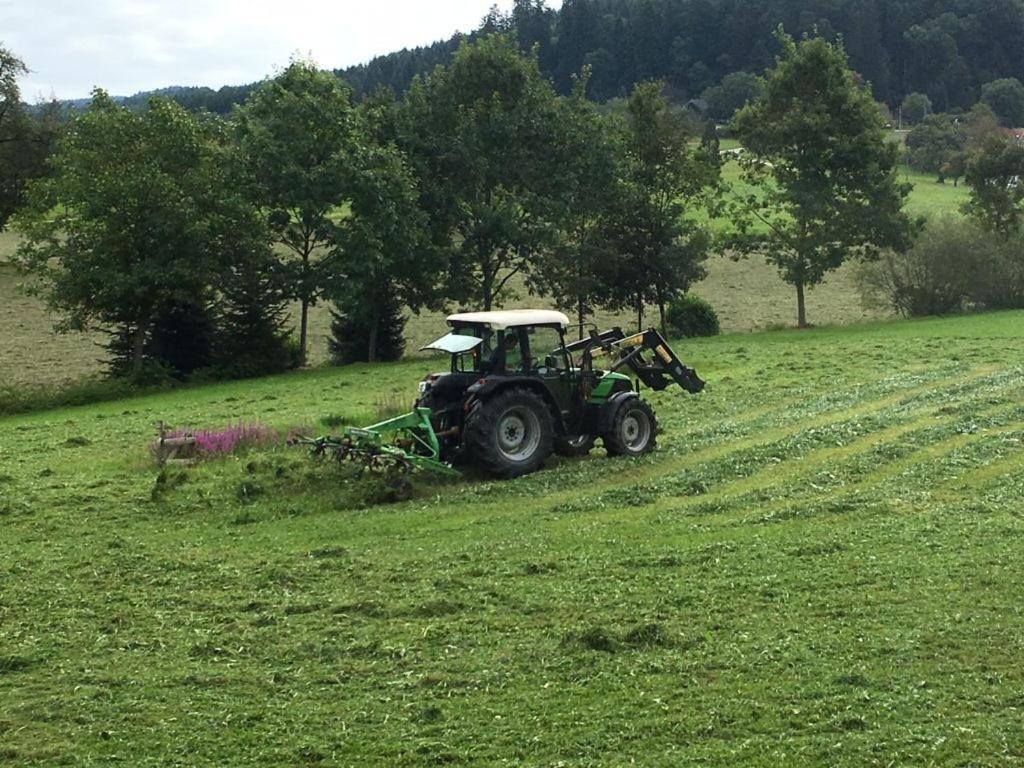 Mattenhof Zell am Harmersbach Buitenkant foto