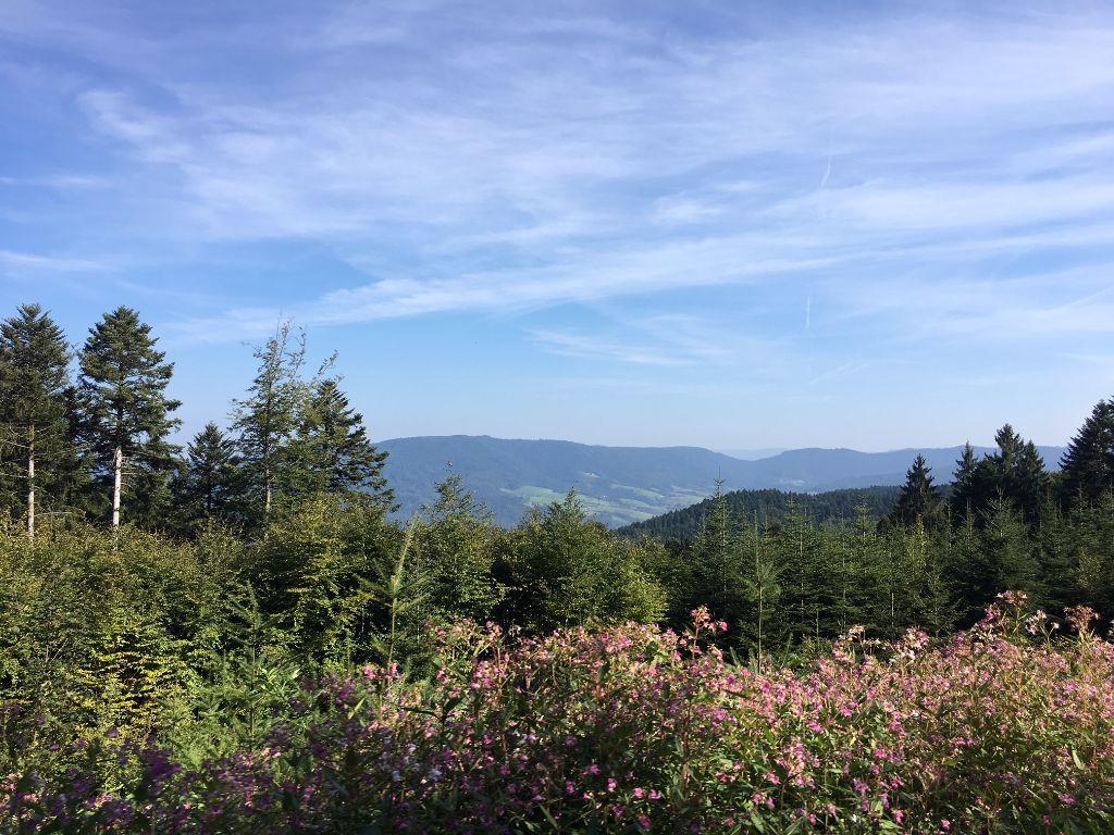 Mattenhof Zell am Harmersbach Buitenkant foto