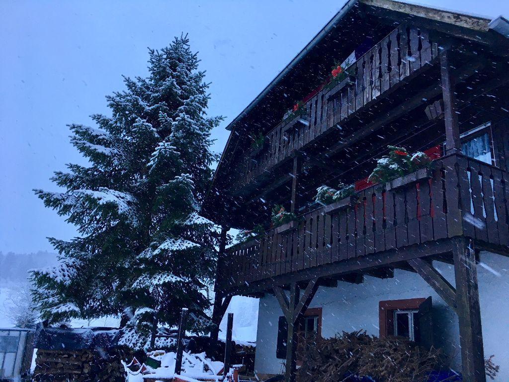 Mattenhof Zell am Harmersbach Buitenkant foto