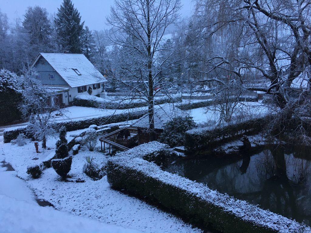 Mattenhof Zell am Harmersbach Buitenkant foto